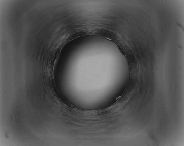 X0000091860044200709191125