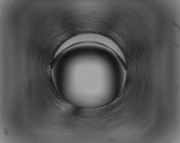 X0000091860045200709191125