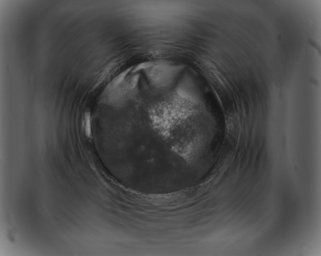 X0000091860046200709191125