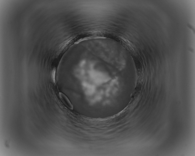 X0000091860047200709191125