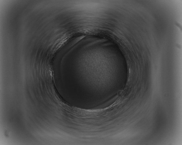 X0000091860048200709191125