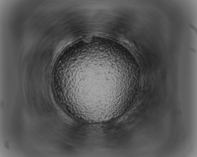 X0000091860049200709191124