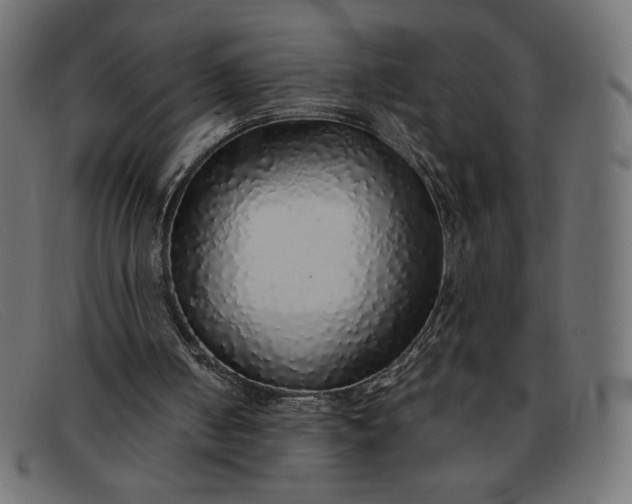 X0000091860050200709191124