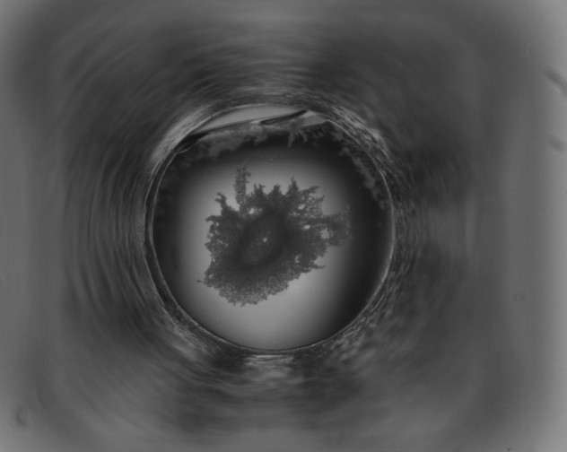 X0000091860051200709191124