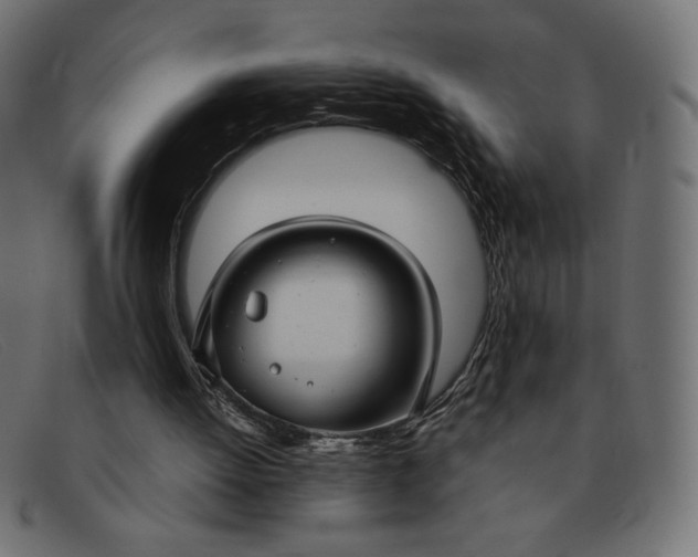 X0000091860052200709191124