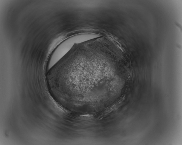 X0000091860053200709191124