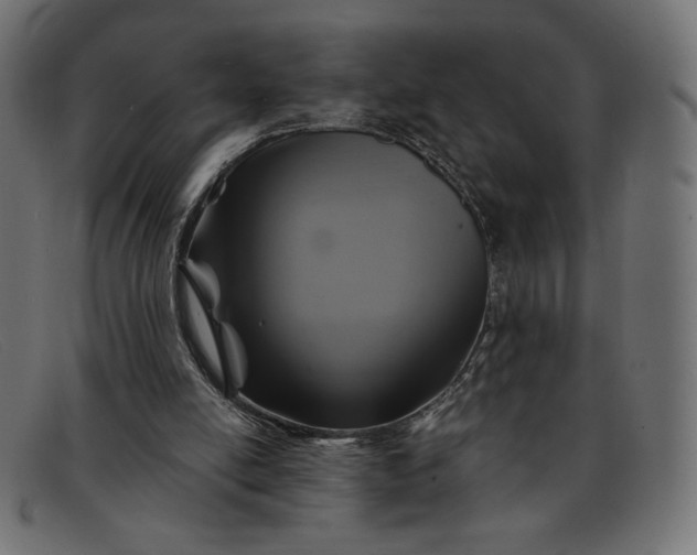 X0000091860054200709191124