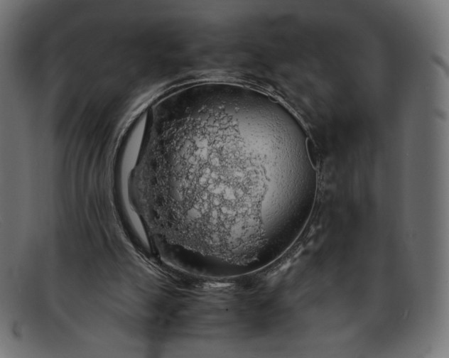 X0000091860055200709191124