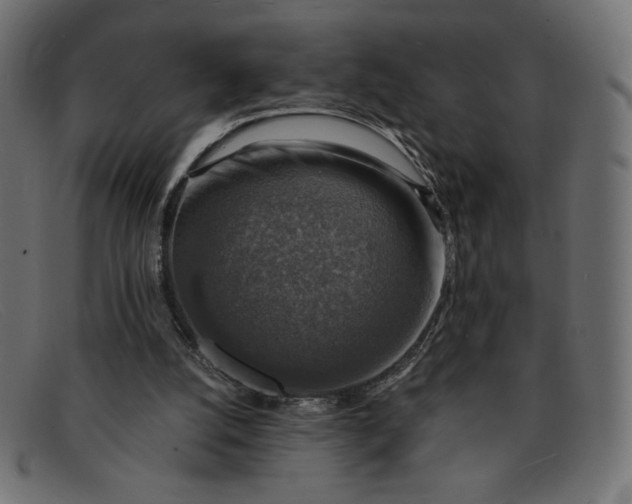 X0000091860056200709191124