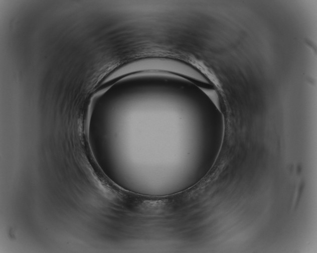 X0000091860057200709191124