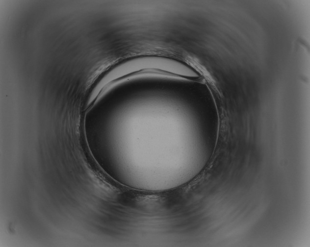 X0000091860058200709191124