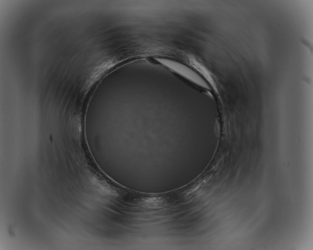 X0000091860059200709191124