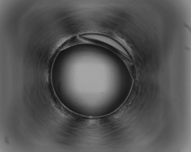 X0000091860060200709191124