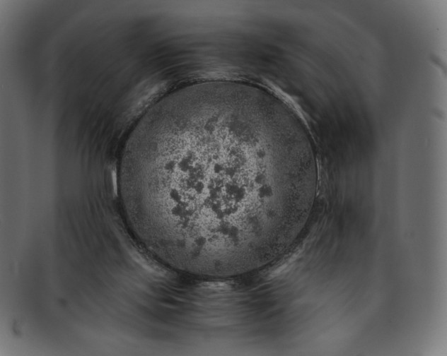 X0000091860061200709191124