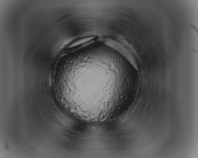 X0000091860062200709191124