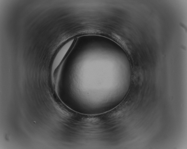 X0000091860063200709191124