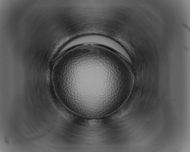 X0000091860064200709191124