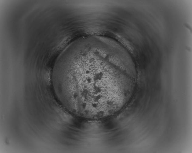 X0000091860065200709191124