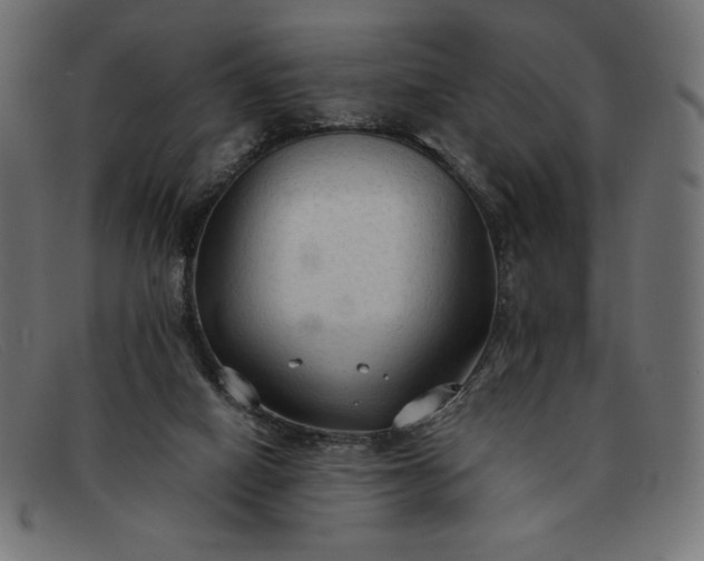 X0000091860066200709191124