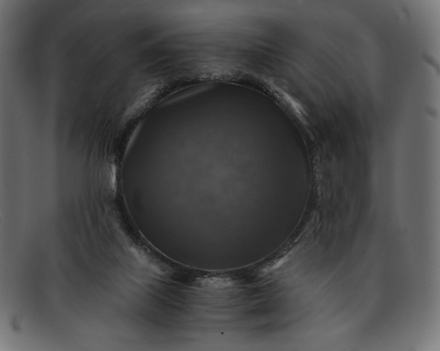 X0000091860067200709191124