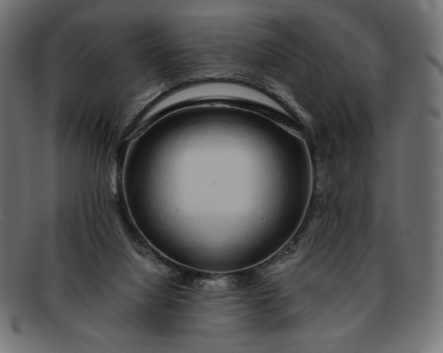 X0000091860068200709191124