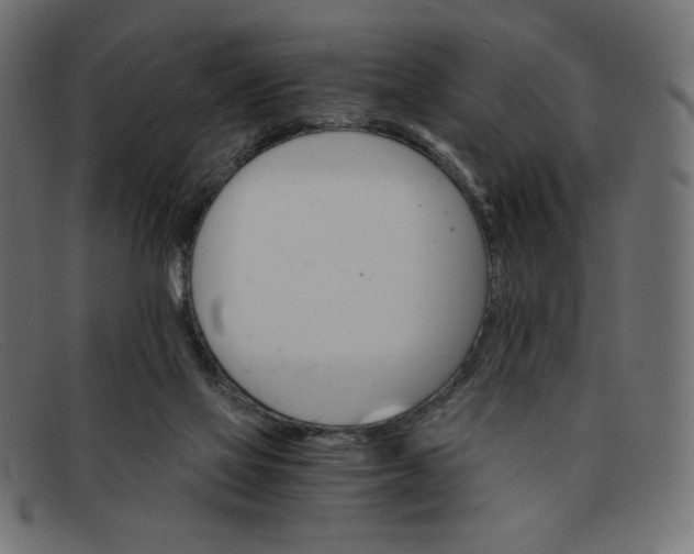 X0000091860069200709191124