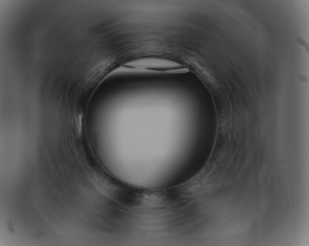 X0000091860070200709191124