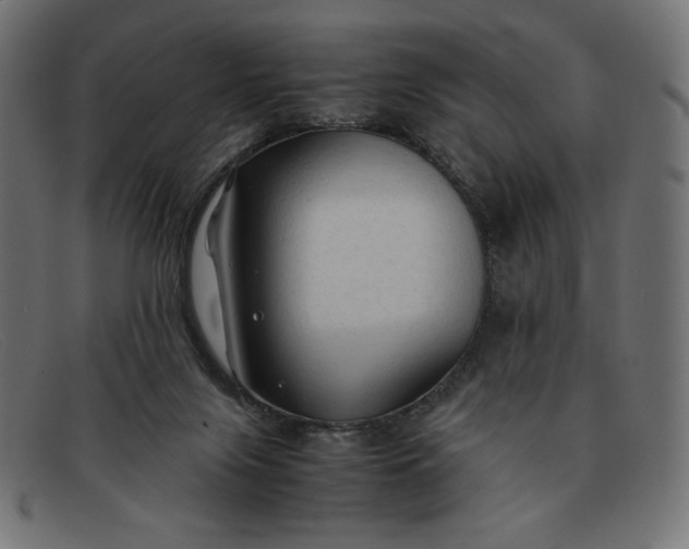 X0000091860071200709191124