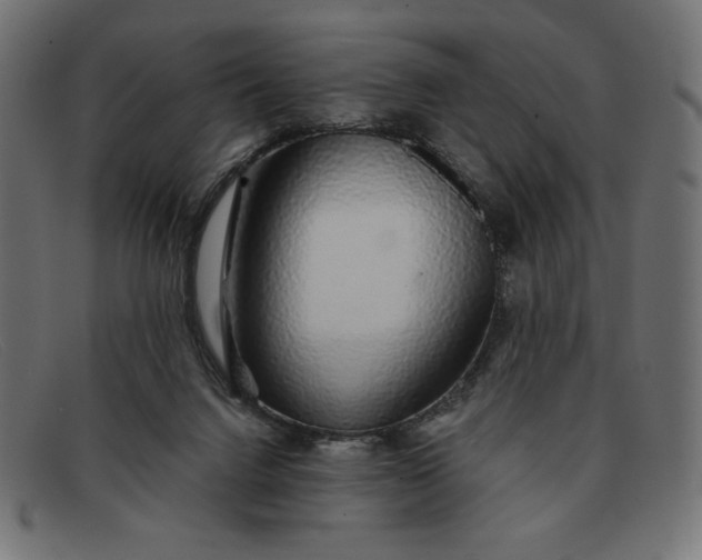 X0000091860072200709191124