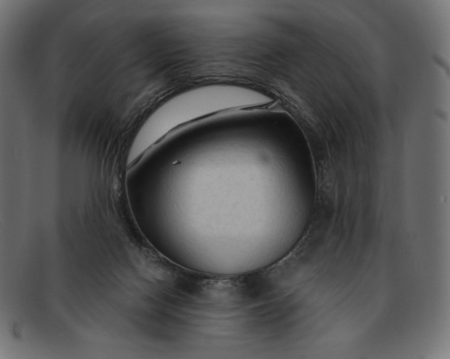 X0000091860074200709191124