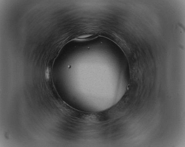 X0000091860075200709191124