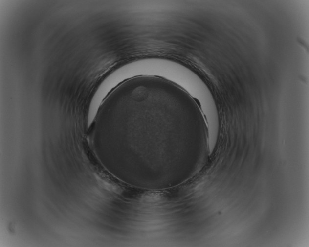 X0000091860076200709191124