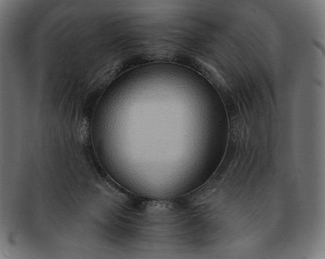 X0000091860077200709191124