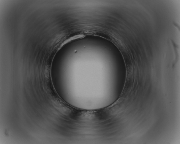 X0000091860078200709191124