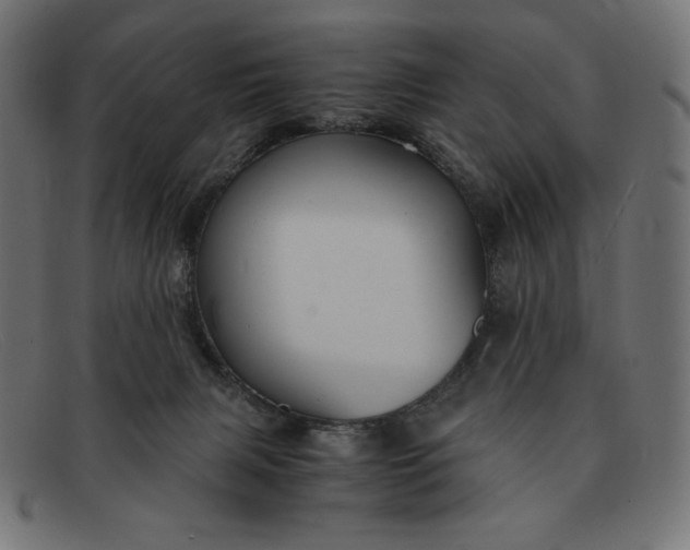 X0000091860079200709191124