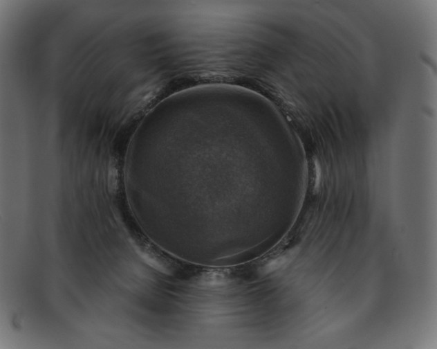 X0000091860080200709191124