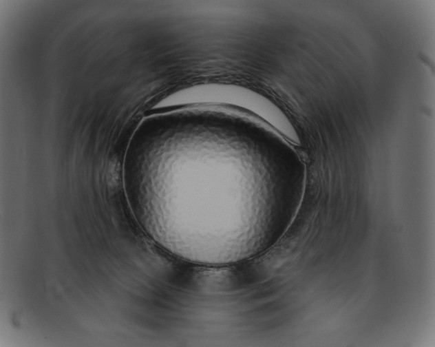 X0000091860081200709191124