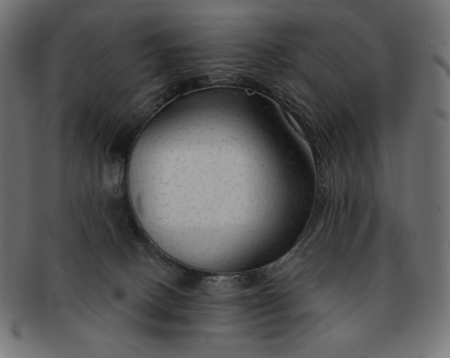 X0000091860082200709191124