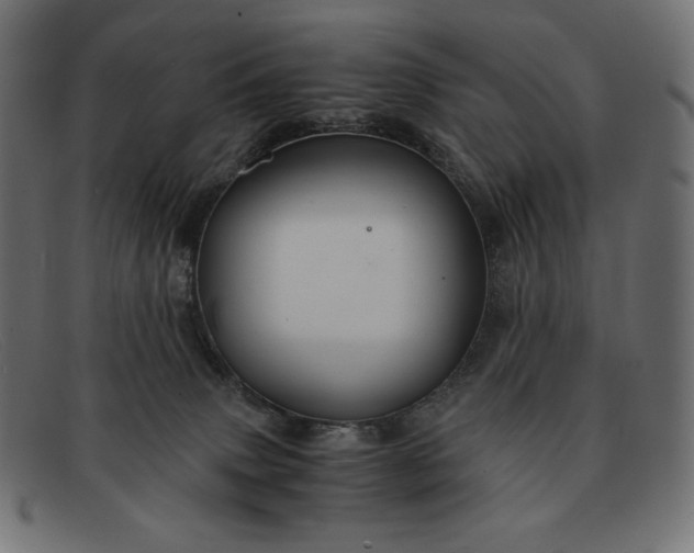 X0000091860083200709191124