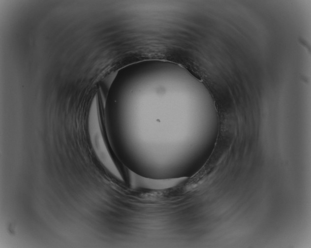 X0000091860084200709191124