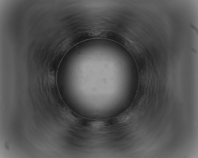 X0000091860085200709191124