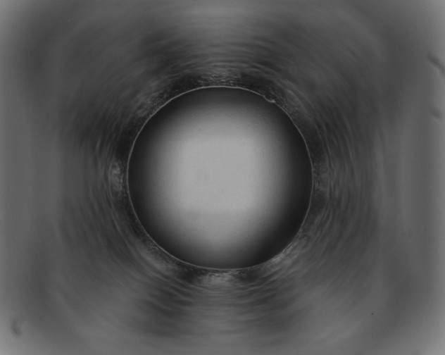 X0000091860086200709191124