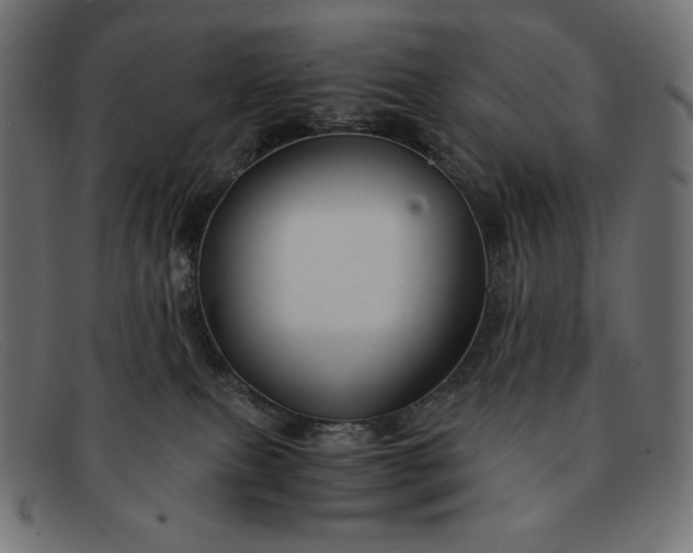 X0000091860087200709191124