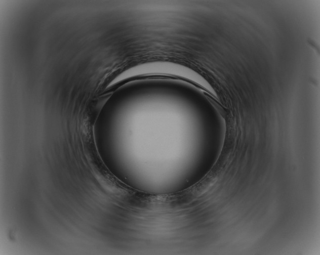 X0000091860088200709191124