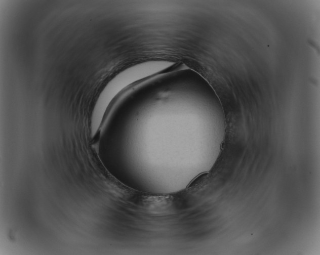 X0000091860089200709191124