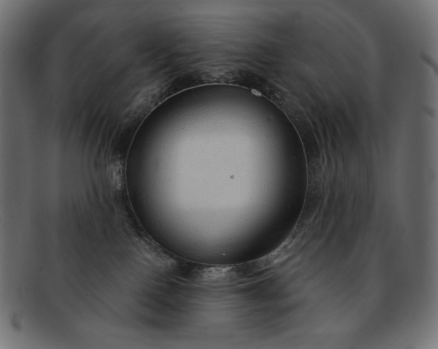 X0000091860090200709191124