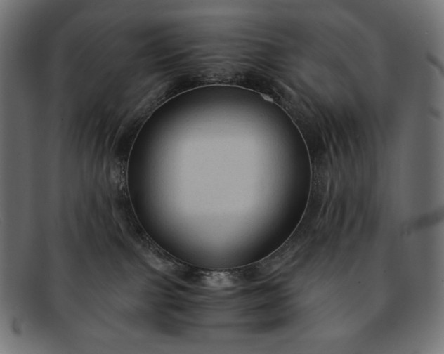 X0000091860091200709191125