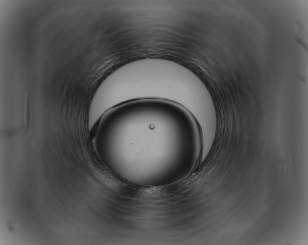 X0000091860092200709191125