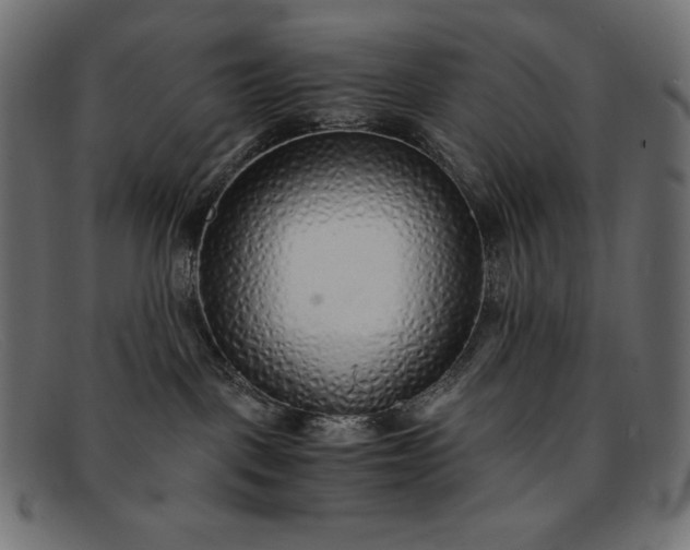 X0000091860093200709191125