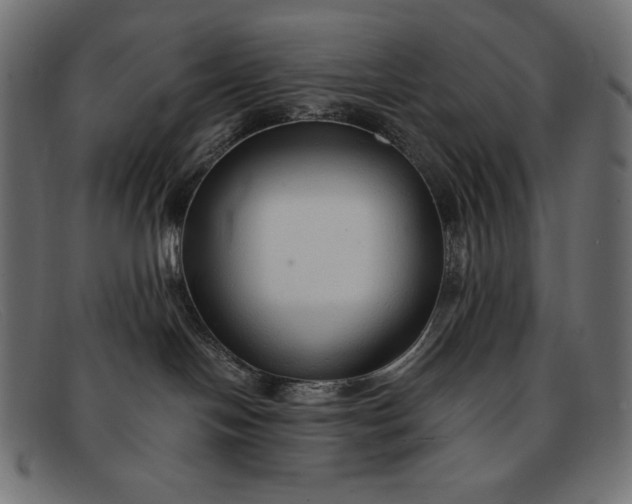 X0000091860094200709191125